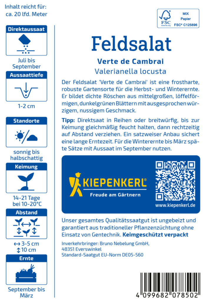 Feldsalat Verte de Cambrai – Bild 2