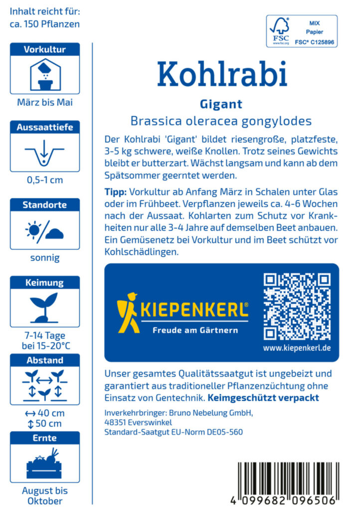 Kohlrabi Gigant – Bild 2