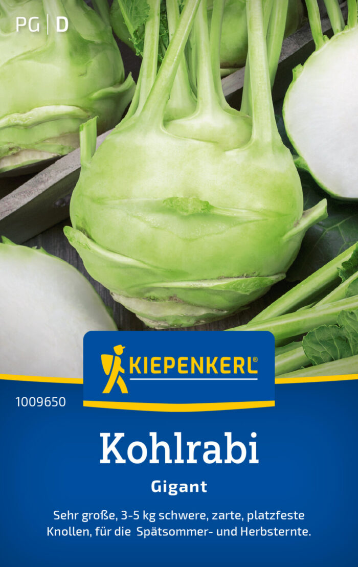 Kohlrabi Gigant