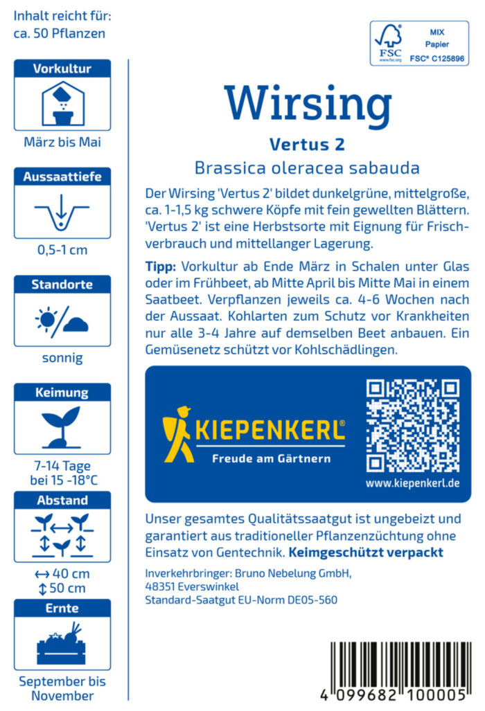 Wirsing Vertus 2 – Bild 2