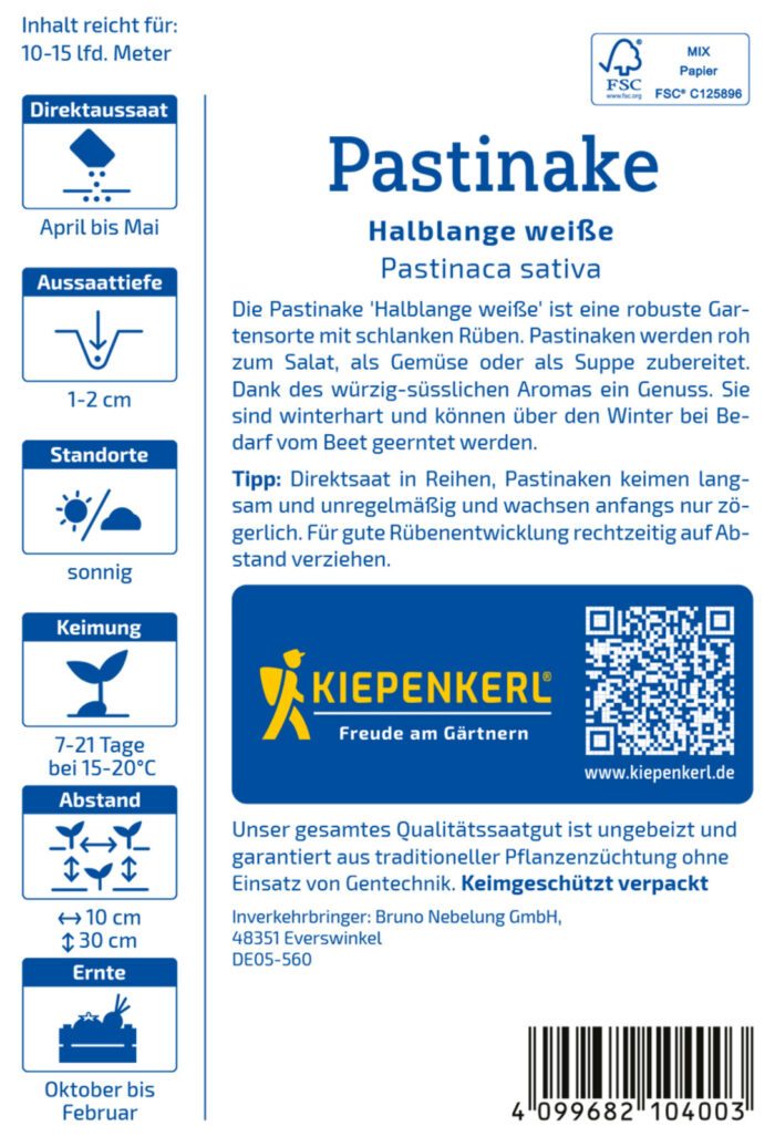 Pastinake Halblange weiße – Bild 2