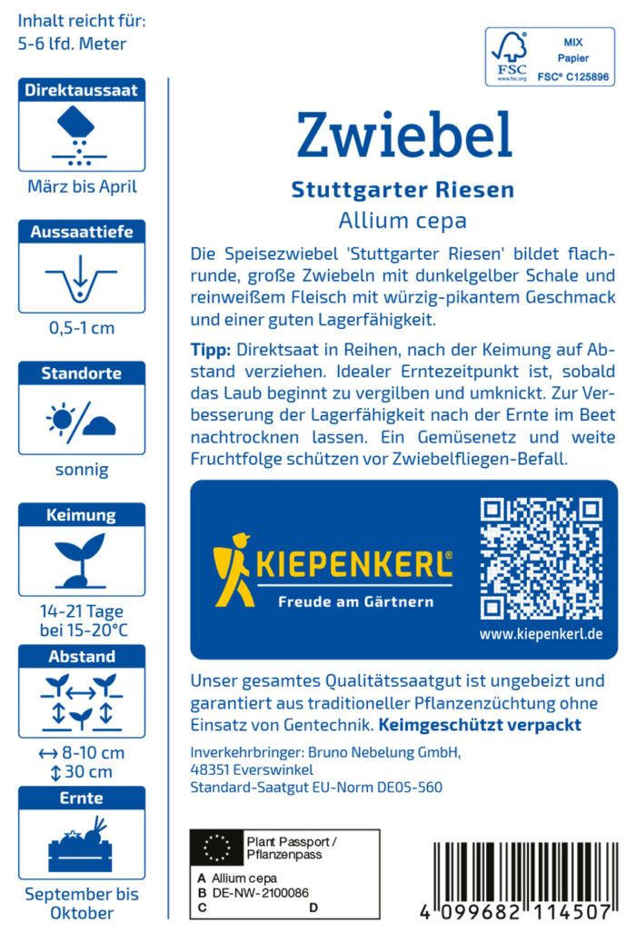 Zwiebel Stuttgarter Riesen – Bild 2