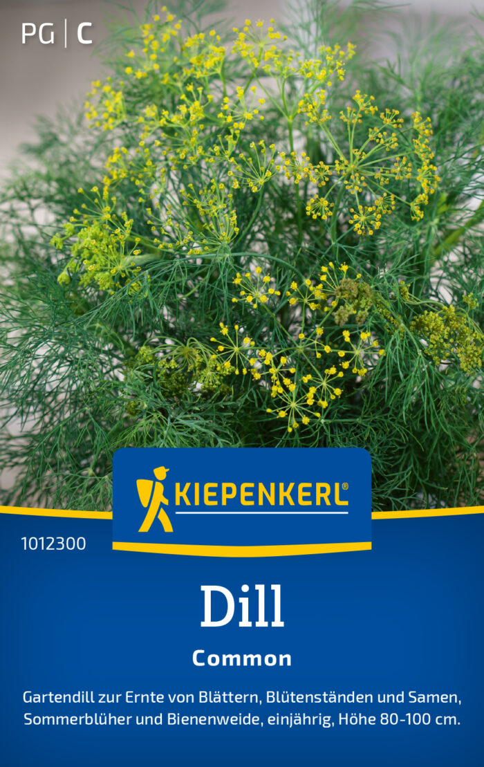 Dill Common