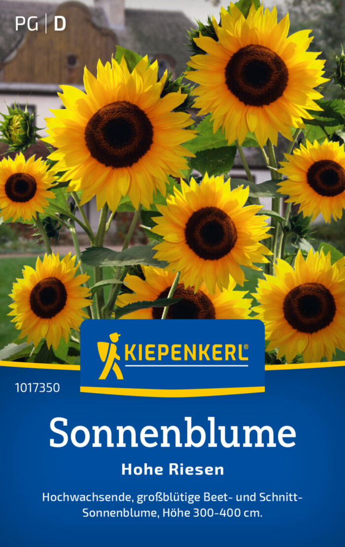 Sonnenblume Hohe Riesen