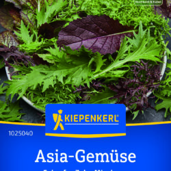Asia-Gem&uuml;sesamen Scharfer Zahn Mischung
